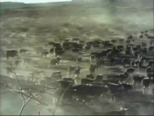 Gunsmoke Season 13 Episode 2 - Cattle Barons