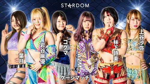 Stardom on Stardom World Season 12 Episode 54 - Stardom Fight in the Top 2022 ~Nagoya Summit Battle~
