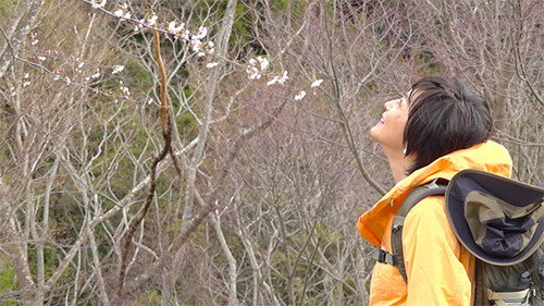Because the Mountain is There Season 2 Episode 2 - Episode 2