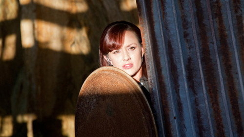 Primeval: New World Season 1 Episode 12 - The Sound of Thunder (1)