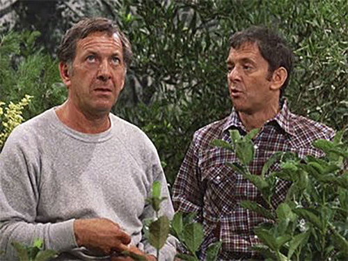 The Odd Couple Season 3 Episode 6 - I'm Dying of Unger