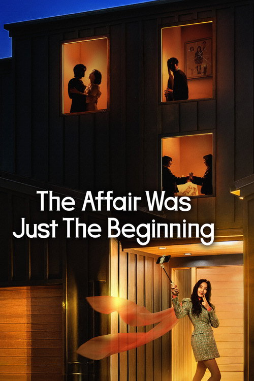 The Affair was Just the Beginning poster