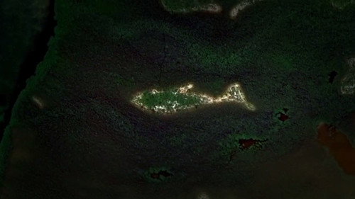 What on Earth? Season 4 Episode 2 - Fountain of Youth Found?