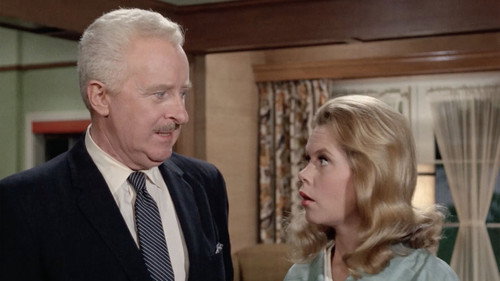 Bewitched Season 4 Episode 29 - A Majority of Two