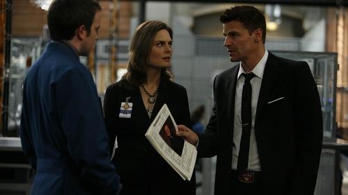 Bones Season 3 Episode 8 - The Knight on the Grid