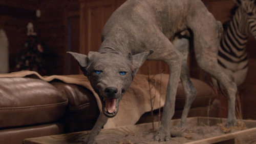 The UnXplained Season 1 Episode 3 - Strange Creatures