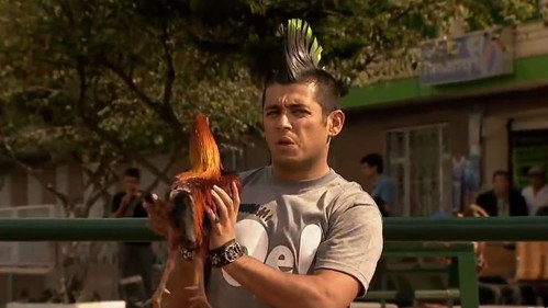 German and the rooster still