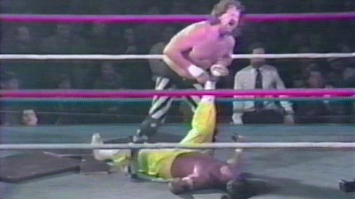 ECW Hardcore TV Season 1 Episode 38 - ECW Hardcore TV - Dec. 28, 1993
