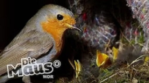 Die Sendung mit der Maus Season 54 Episode 9 - Episode 9