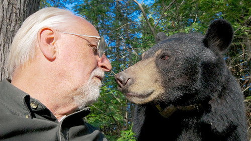 Natural World Season 34 Episode 9 - A Bear With A Bounty