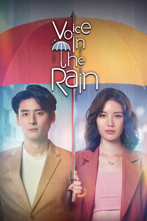 Voice in the Rain poster