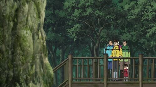 The Yamahime of Yakushima (1) still