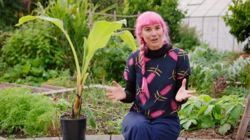 Gardening Australia Season 36 Episode 22 - Episode 22 Winter: Habitat Gardens & Plastic Free July