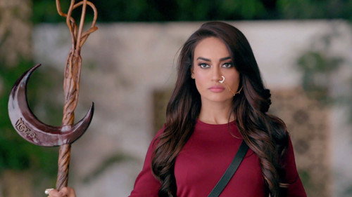 Shehzadi to Punish Aman, Roshni still