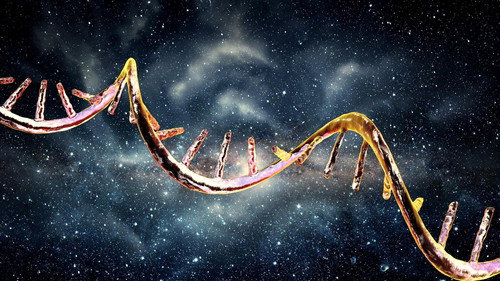 PBS Space Time Season 2025 Episode 6 - Your DNA Is (Almost Certainly) From Outer Space