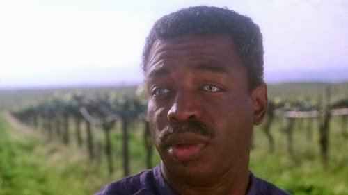 Star Trek: The Next Generation Season 7 Episode 25 - All Good Things...