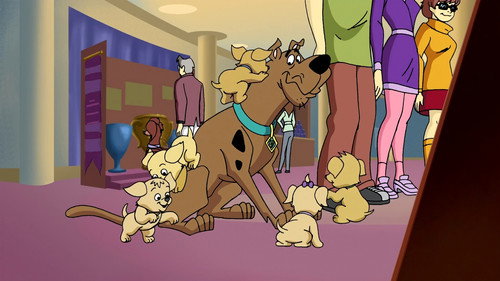 What's New, Scooby-Doo? Season 2 Episode 7 - Homeward Hound
