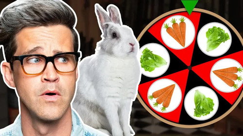 Can We Bet On What This Bunny Wants? (GAME) still