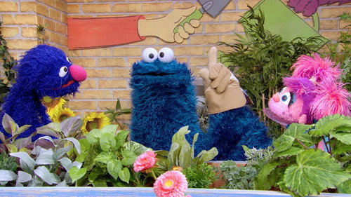 Sesame Street's Lost And Found still