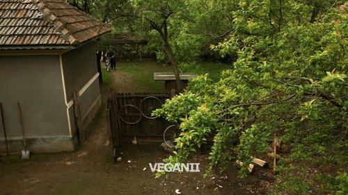 Las Fierbinţi Season 6 Episode 10 - Veganii