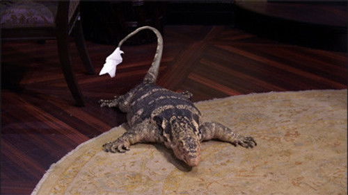 Jessie Season 2 Episode 4 - 101 Lizards