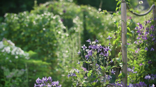 Hinter den Hecken Season 1 Episode 2 - A tiny garden