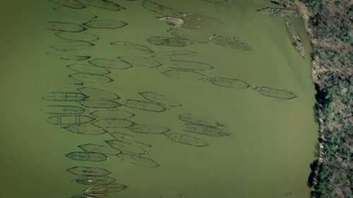 What on Earth? Season 5 Episode 5 - Ghost Fleet of Cannibal Bay