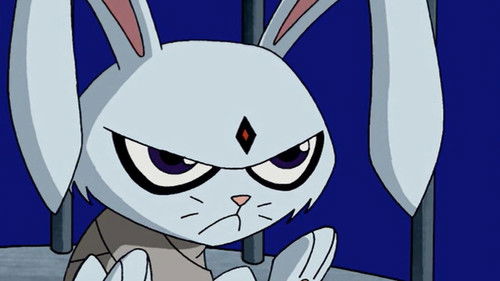 Teen Titans Season 3 Episode 11 - Bunny Raven or How to Make a Titananimal Disappear