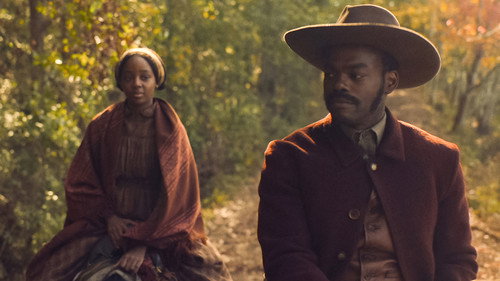 The Underground Railroad Season 1 Episode 8 - Chapter 8: Indiana Autumn