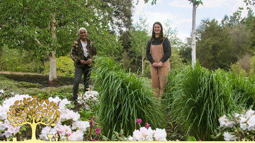 Gardeners' World Season 54 Episode 12 - Episode 12
