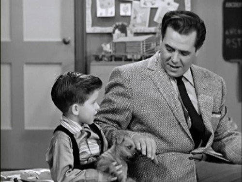 undefined Season 6 Episode 14 - Little Ricky Gets a Dog