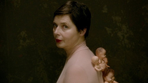 Mammas Season 1 Episode 6 - Toad