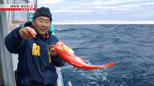 Asia Insight Season 12 Episode 8 - Tokyo's Sustainable Fishermen