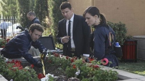 undefined Season 6 Episode 20 - The Pinocchio in the Planter