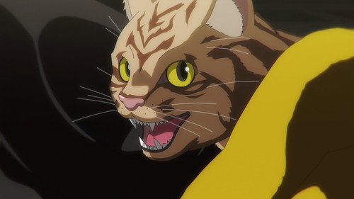 undefined Season 1 Episode 1 - Everything Becomes Cat
