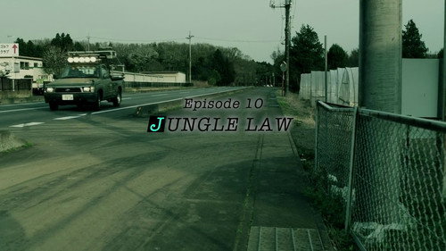 JUNGLE LAW still