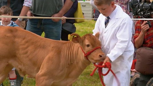 Manifold Valley Agricultural Show still