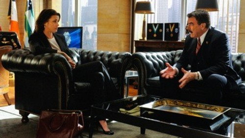 Blue Bloods Season 3 Episode 17 - Protest Too Much