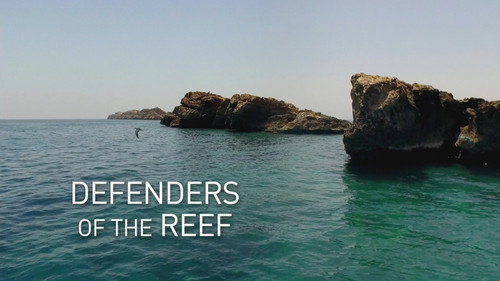 Arabian Seas Season 1 Episode 4 - Defenders of the Reef