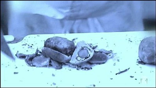 Hell's Kitchen Season 4 Episode 14 - 2 Chefs Compete