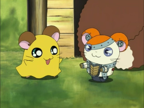 Super Hamster Robo-Joe still