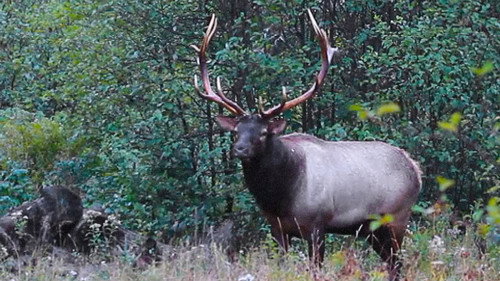 Great Lakes Wild Season 1 Episode 6 - The Damning Truth