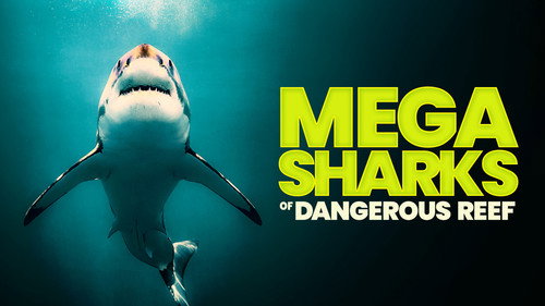 Shark Week Season 36 Episode 19 - Mega Sharks of Dangerous Reef