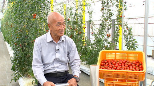 Japan's Top Inventions Season 3 Episode 8 - Film Farming