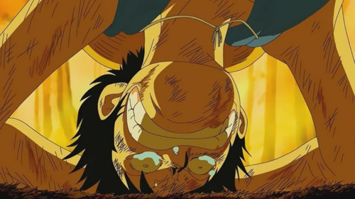 One Piece Season 11 Episode 405 - Eliminated Friends – The Final Day of the Straw Hat Crew
