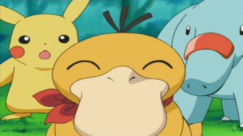 Sitting Psyduck still