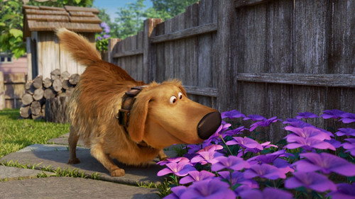 Dug Days Season 1 Episode 3 - Smell
