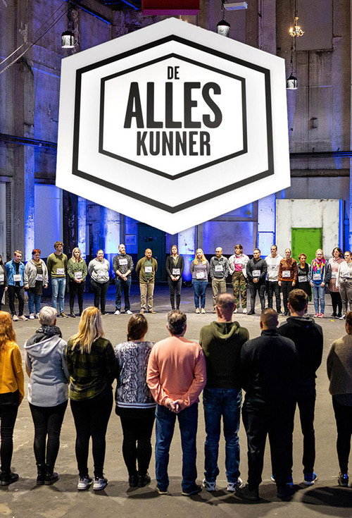 De Alleskunner poster