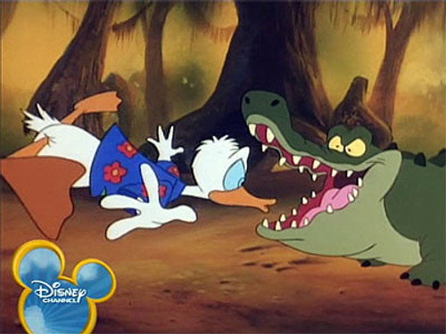 Quack Pack Season 1 Episode 29 - Gator Aid