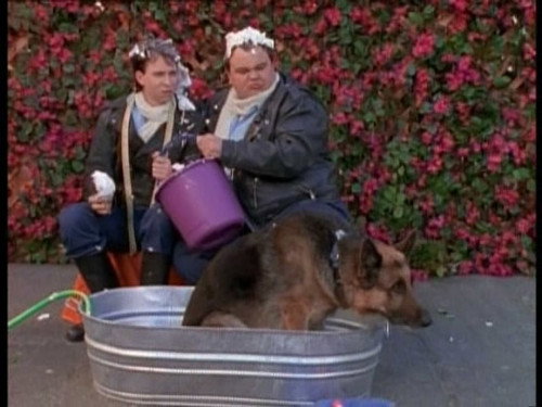 undefined Season 4 Episode 7 - Every Dog Has His Day